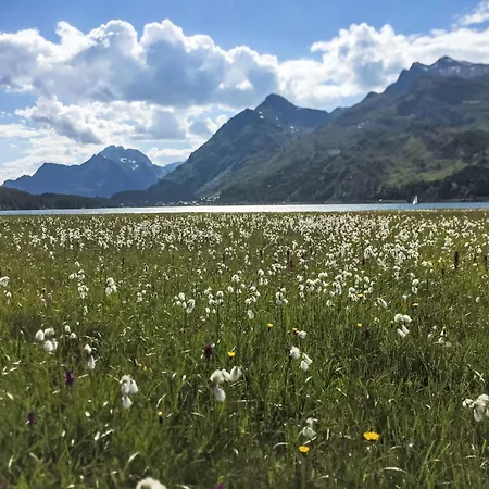 Chesa Trais Fluorsc3 By Interhome * Maloja