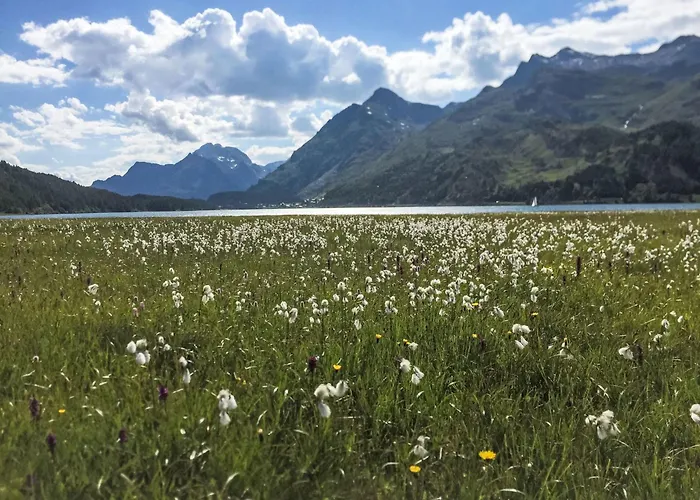 Chesa Trais Fluorsc3 By Interhome * Maloja